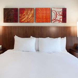 King Room No Resort Fees